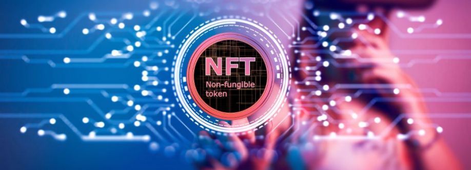 NFT Investor Cover Image