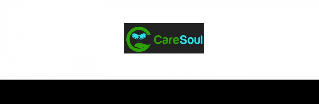 CareSoul CareSoul Cover Image