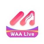 Waalive Profile Picture