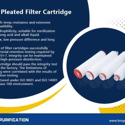 DIPTFE Membrane Pleated Filter Cartridge Profile Picture