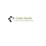 Texas Land Clearing Services  Cedar Beetle Profile Picture