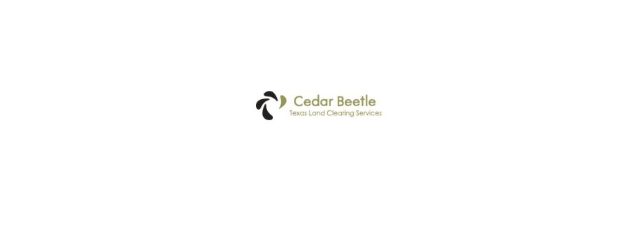 Texas Land Clearing Services  Cedar Beetle Cover Image