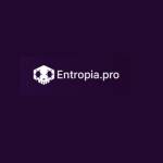 entropiapro Profile Picture