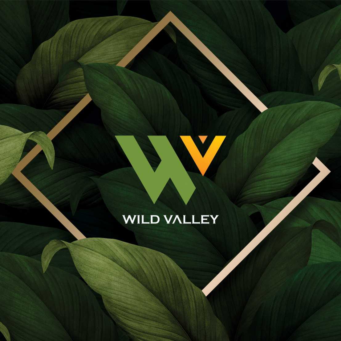 Wild Valley Profile Picture