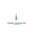 Hornsby Chiropractor Dr Andy Lee Profile Picture