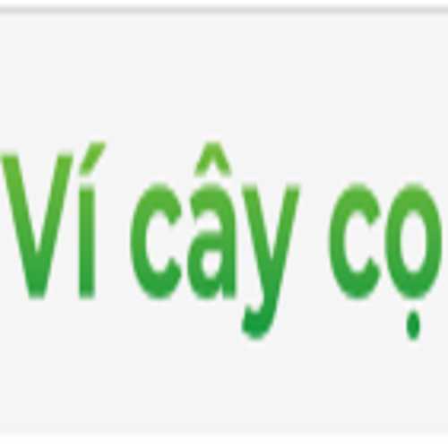 Ví Cây Cọ Profile Picture