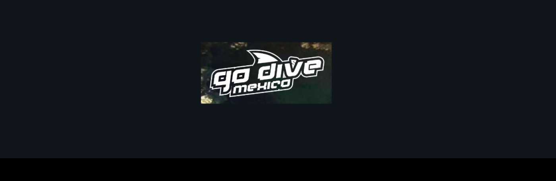 Go Dive Mexico Cover Image