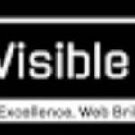 seovisible brain profile picture