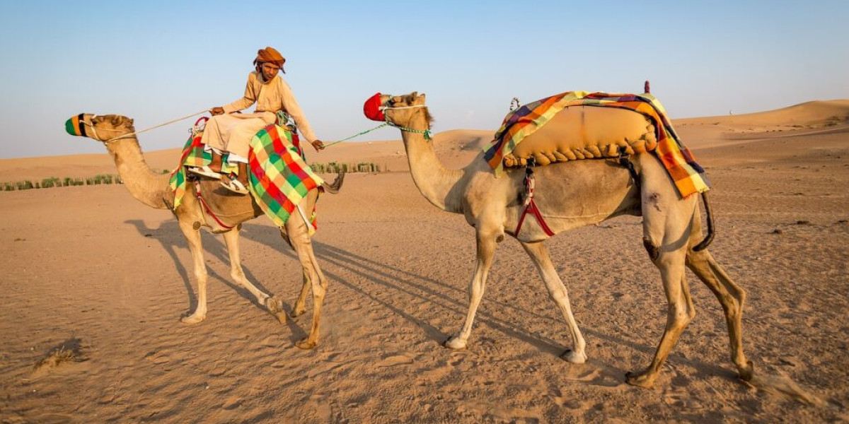 Discover the Magic of Rajasthan: Best Rajasthan Tour Packages for Your Dream Holiday
