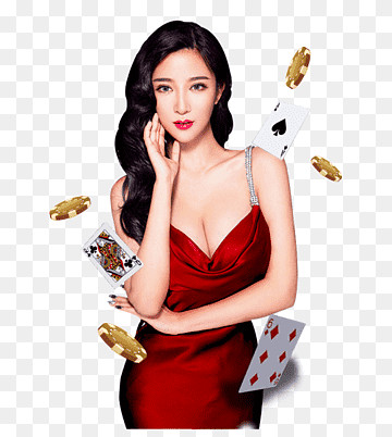 토토사이트 추천 Profile Picture