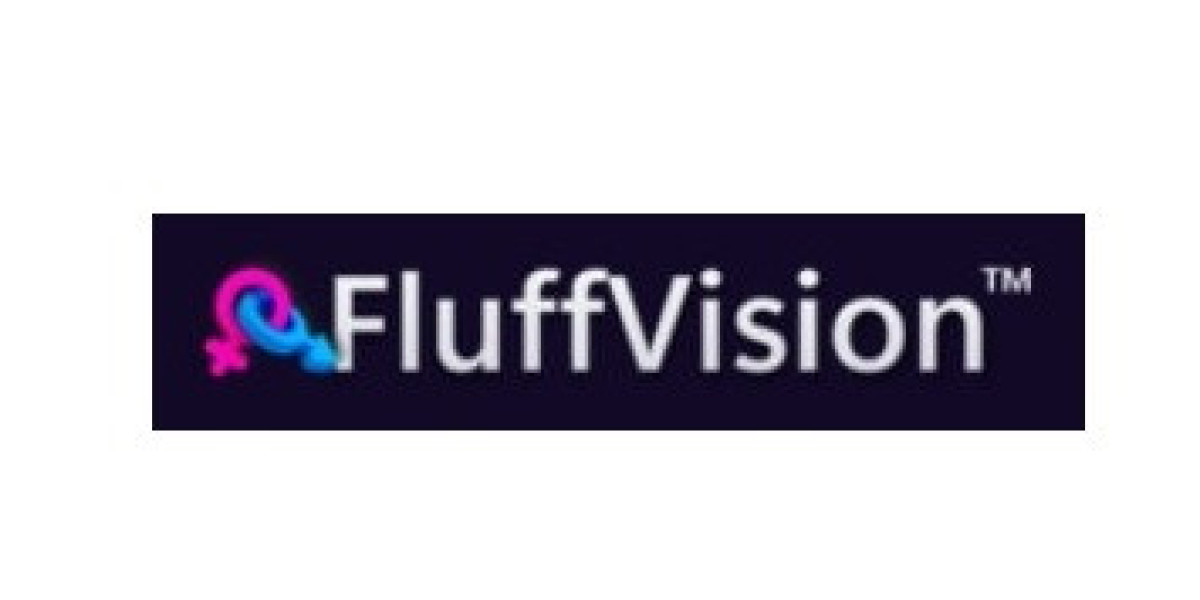 Fluffvision Webcam Streaming Software.