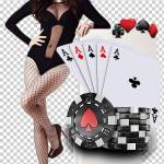 파워볼 사이트 Profile Picture
