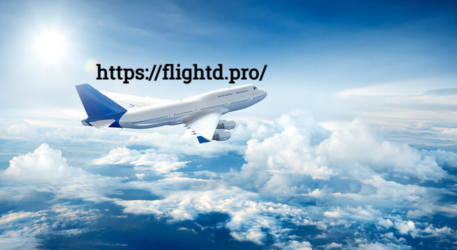 flightd 987 Profile Picture