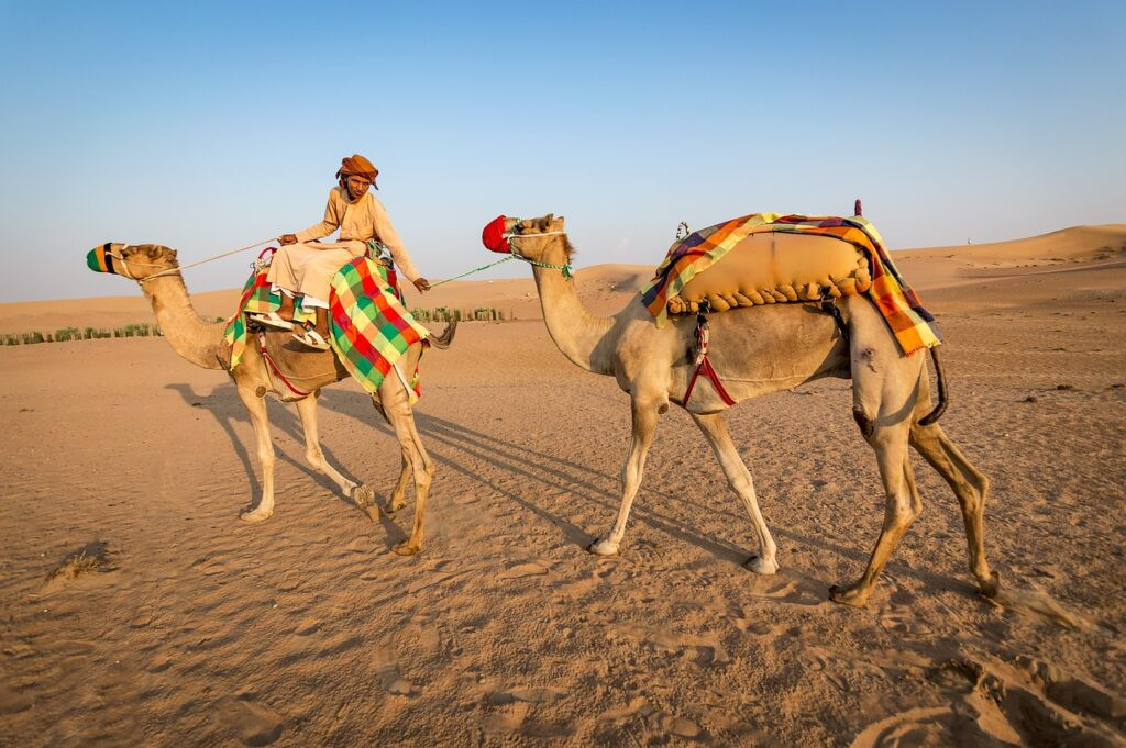 incredibleindia arajasthantours Profile Picture