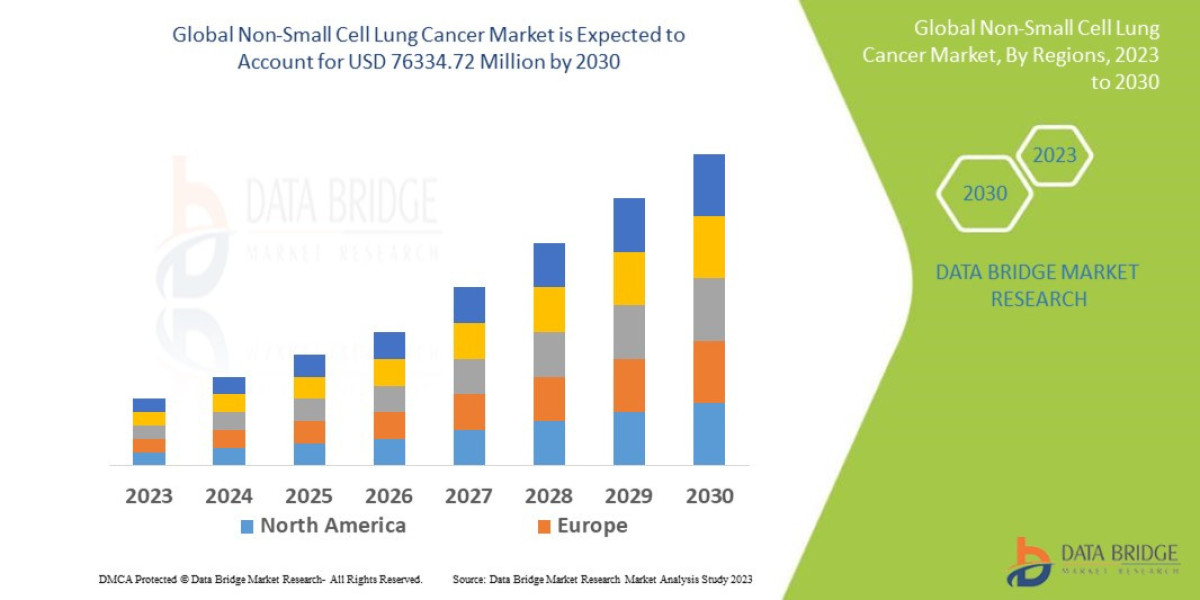 Non-Small Cell Lung Cancer Market Overview, Growth Analysis, Trends and Forecast By 2030