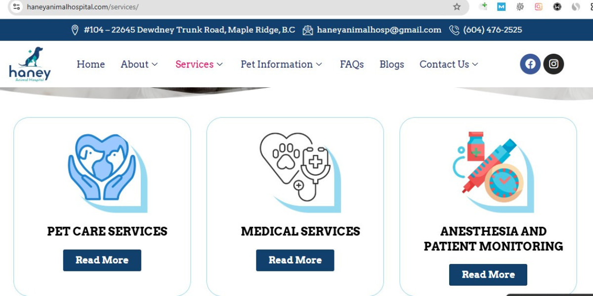 Affordable Pet Care Clinic in Maple Ridge | Haney Animal Hospital