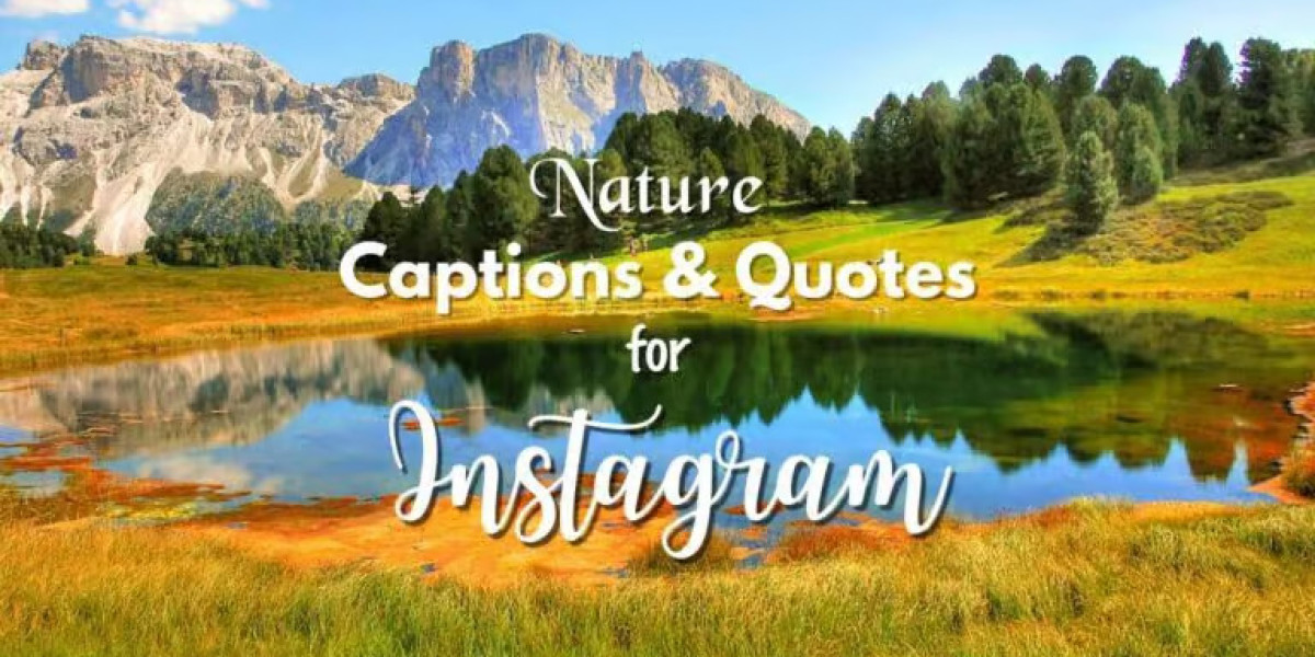 Unique Short Nature Captions for Instagram