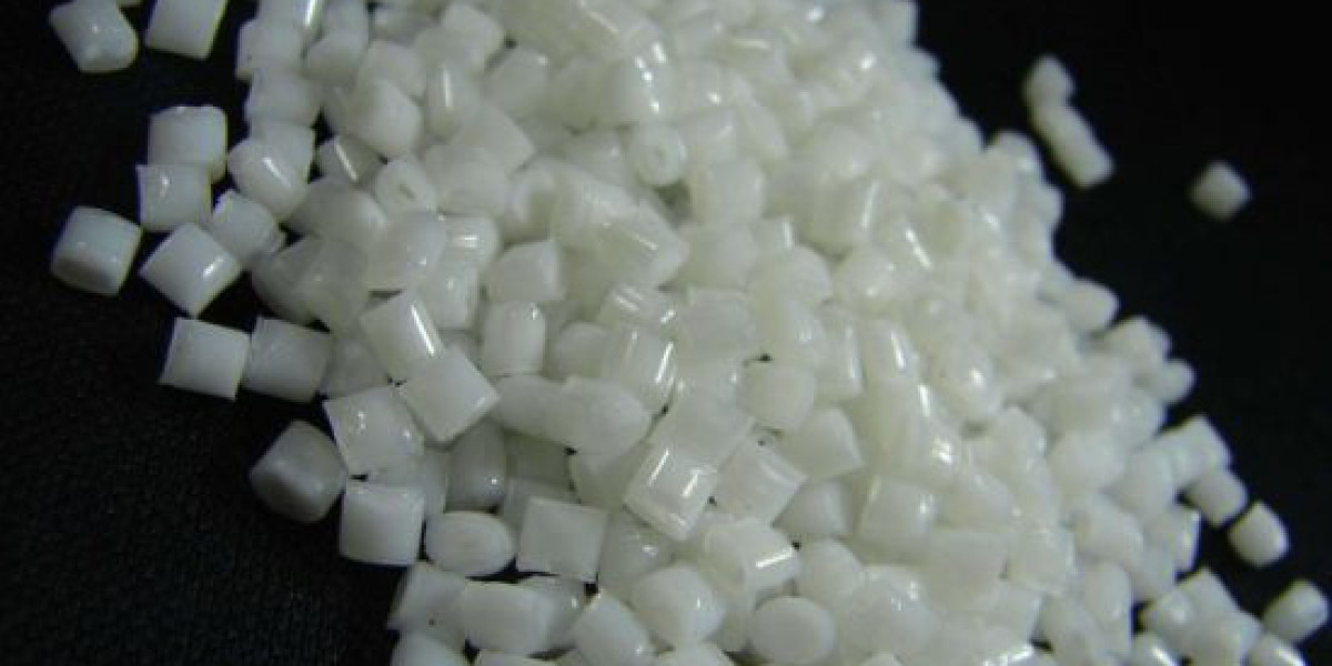The Future of PET and PBT Resin Market: Challenges and Opportunities Ahead