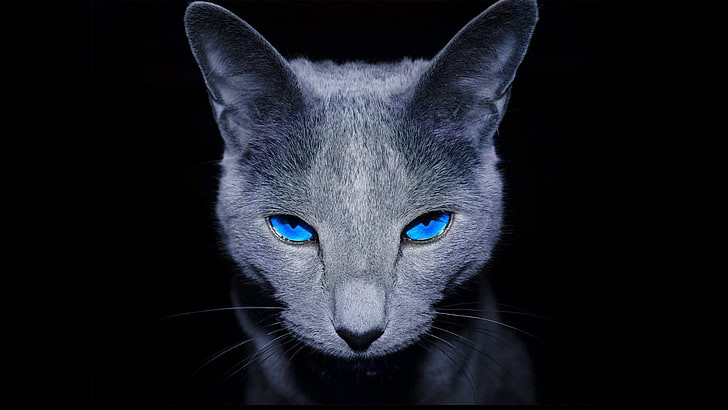 jaxonhaszler Profile Picture