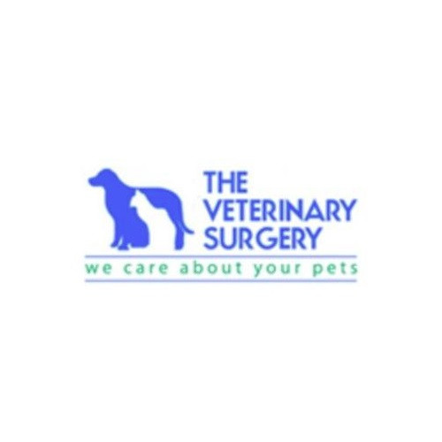 The Veterinary Surgery Profile Picture
