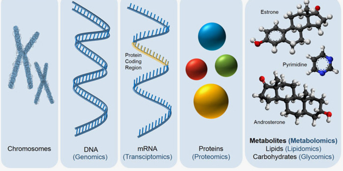 Metabolomics Services Market Size and Competitive Analysis by 2028