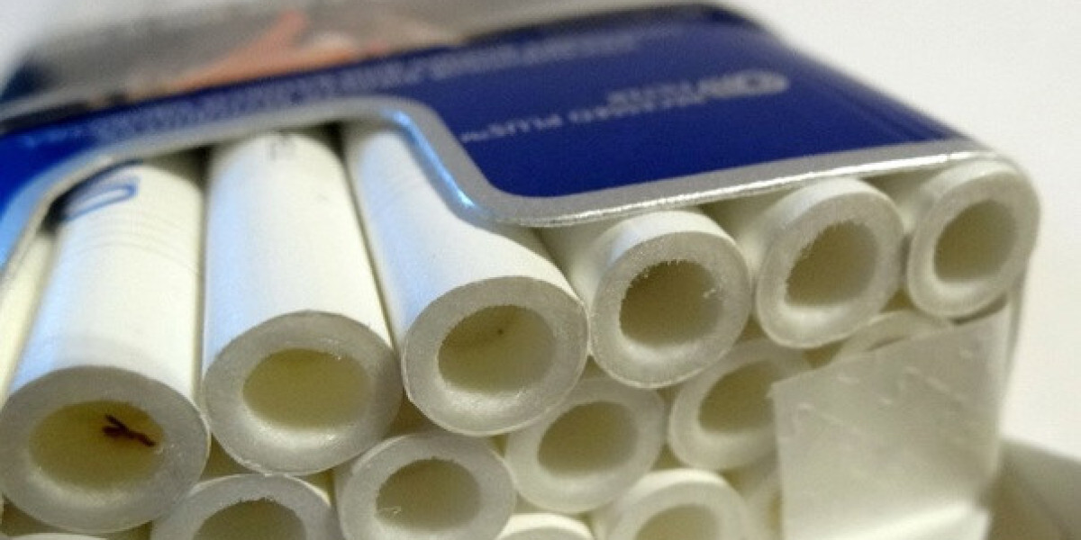 Cigarette Safety Filter Market 2031: Dynamics, Segmentation, and Demand