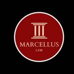 Marcellus Law Profile Picture