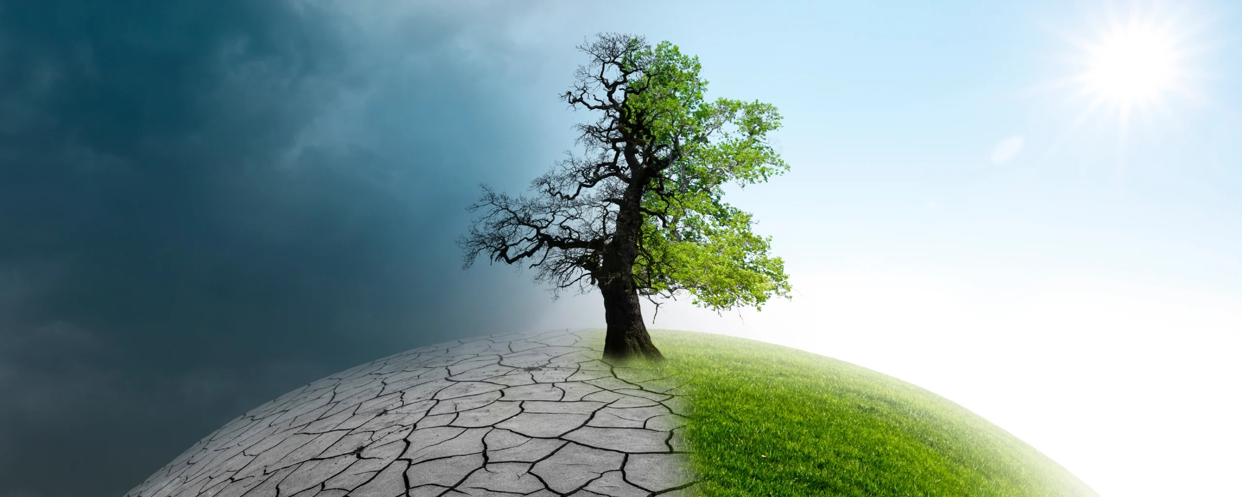 AI Is Shaping the Future of Climate Data Collection & Analysis