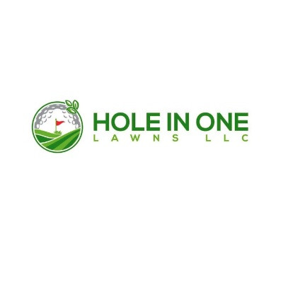 Hole In One Lawns LLC Profile Picture