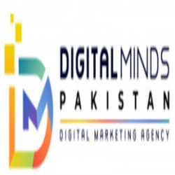 Digital Minds Pakistan Profile Picture