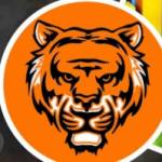 tiger exchange Profile Picture