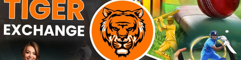 tiger exchange Profile Picture