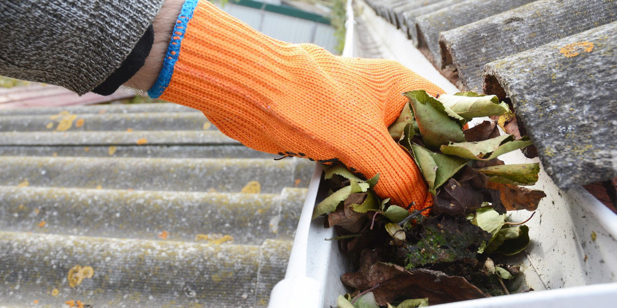 Leaf Removal Atlanta Your Guide to a Clean and Healthy Lawn
