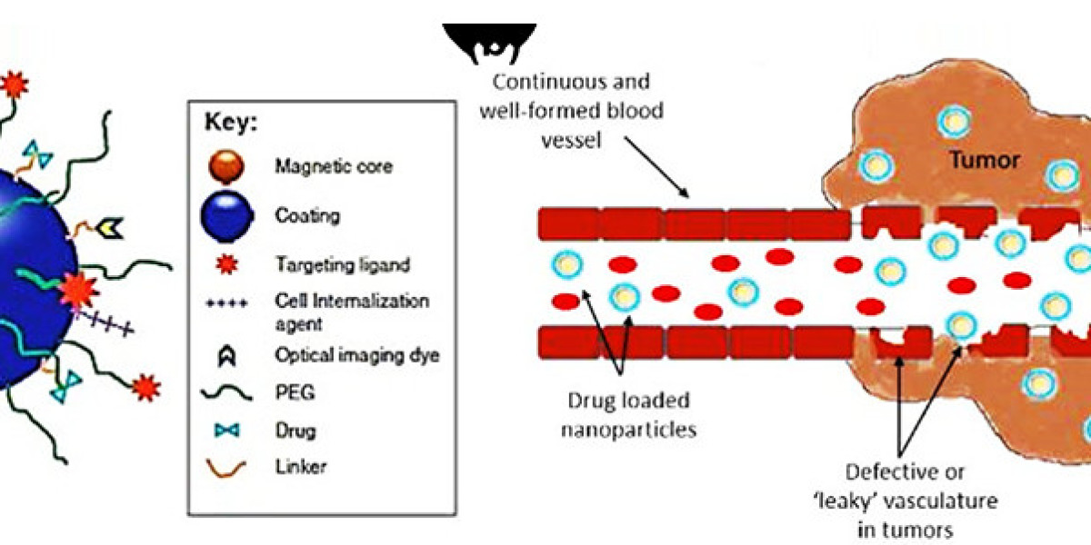 Bio-Targeted Small Molecules Conjugated Magnetic Nanoparticles for Targeted Cancer Therapy