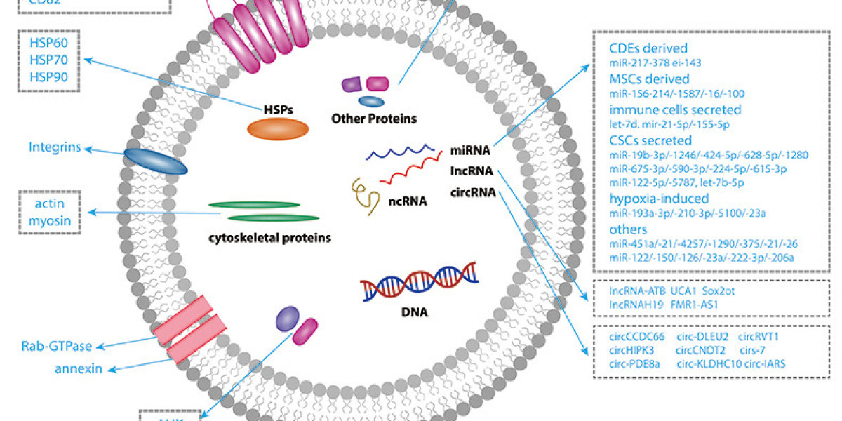 Purified Exosomes for Drug Delivery and Therapeutic Research