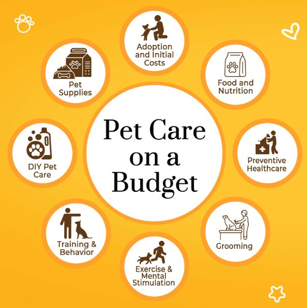 petcareservices063 petcareservices Profile Picture