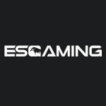 Esgaming Profile Picture
