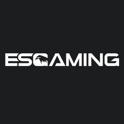 Esgaming Profile Picture