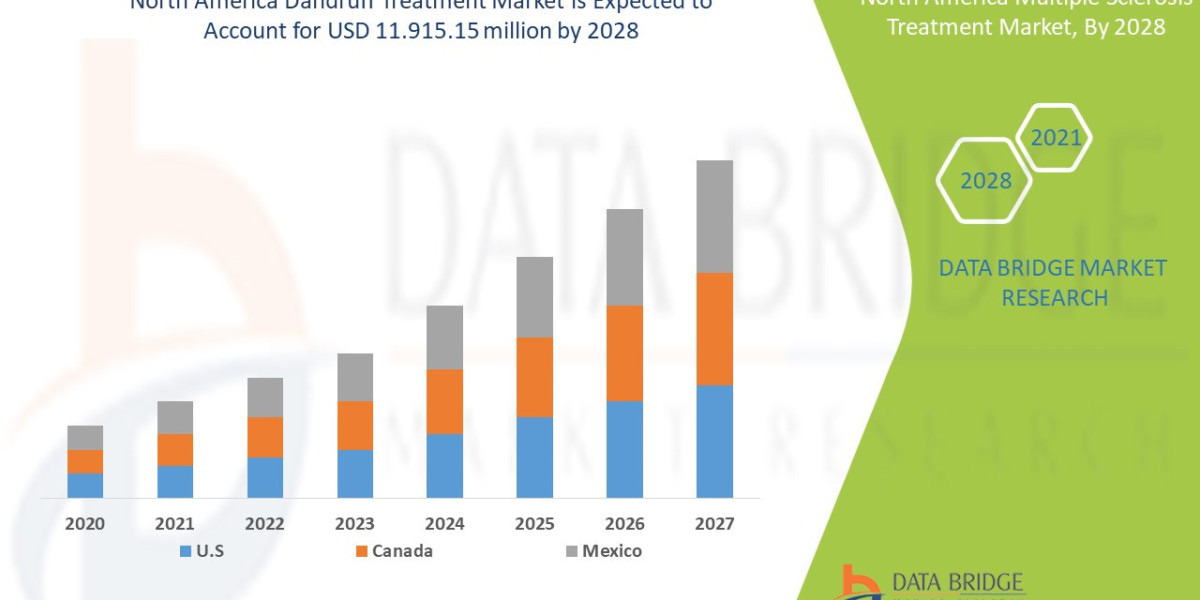 North America Dandruff Treatment Market Overview, Growth Analysis, Trends and Forecast By 2028