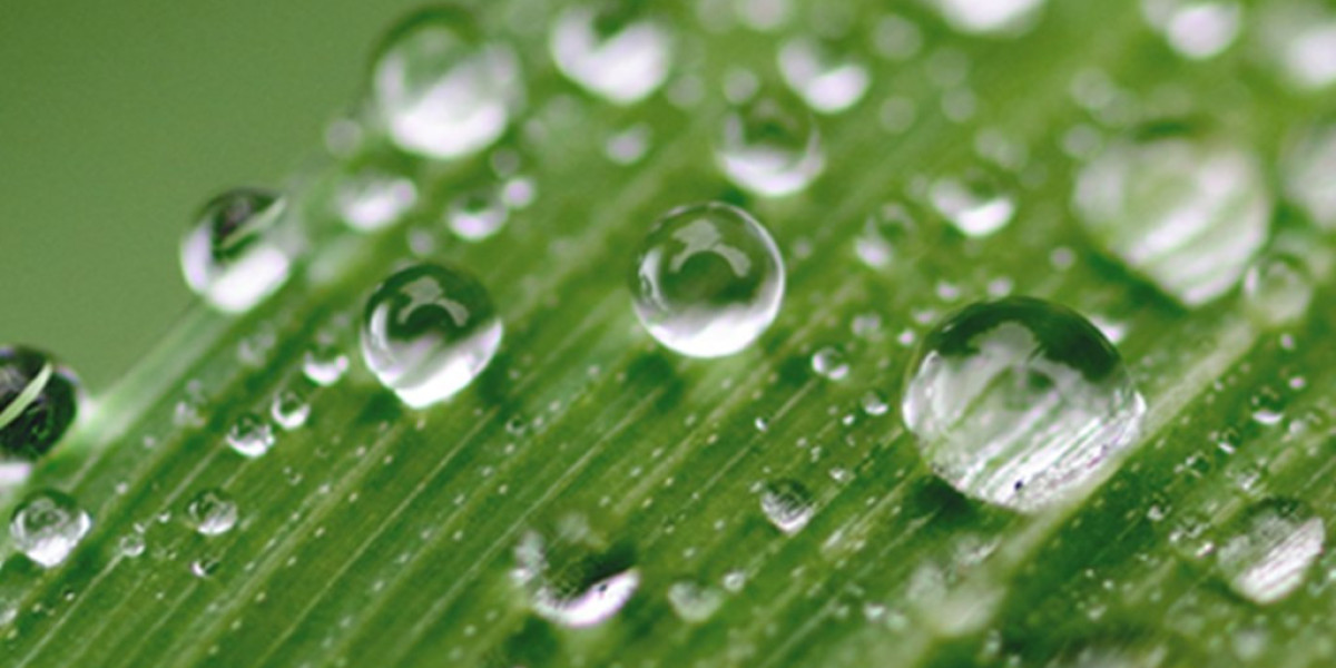 Clean & Green: The Rise of the Natural Surfactants Market