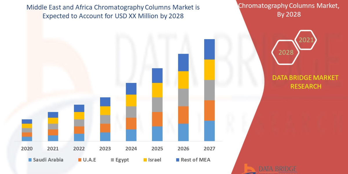 Middle East and Africa Chromatography Columns Market Overview, Growth Analysis, Trends and Forecast By 2028