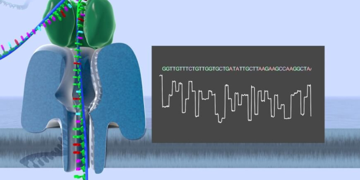 Unlocking the Genome: Growth and Innovation in the Long Read Sequencing Market