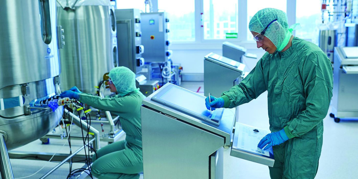 Bioprocess Containers Market Financial Overview and Growth Prospects Predicted by 2031