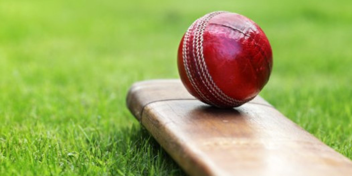 Exploring the Rise of Online Cricket IDs in 2025 – The Amiribook Way