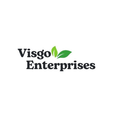 Visgo Enterprises Profile Picture