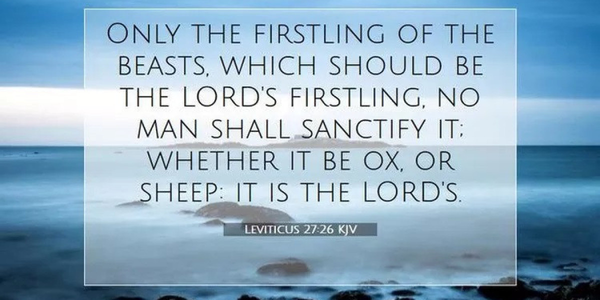 What Does Leviticus 27:26 Mean?