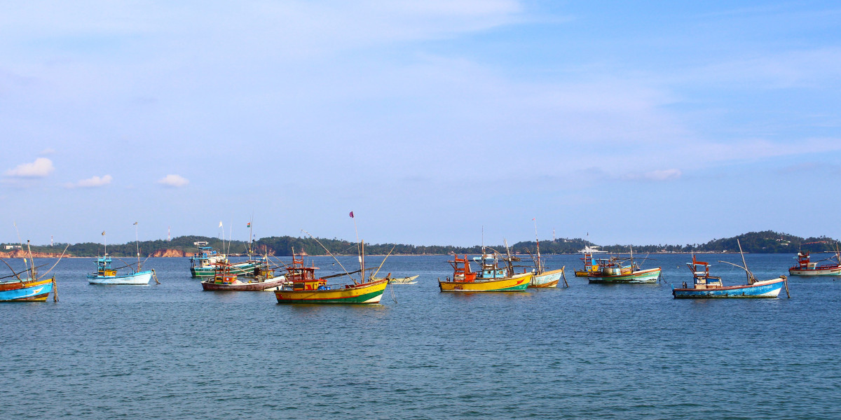 Ivory Coast Travel Guide: Top Attractions, Food, and Travel Tips for First-Time Visitors