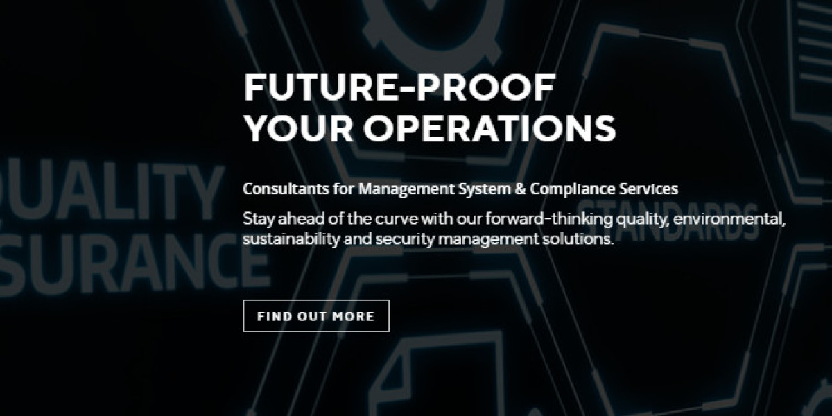 Management Systems Consulting