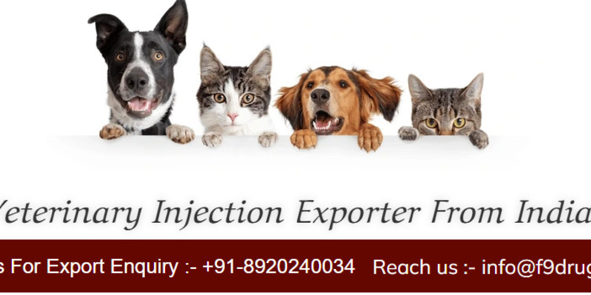 Veterinary Injection Exporter in India