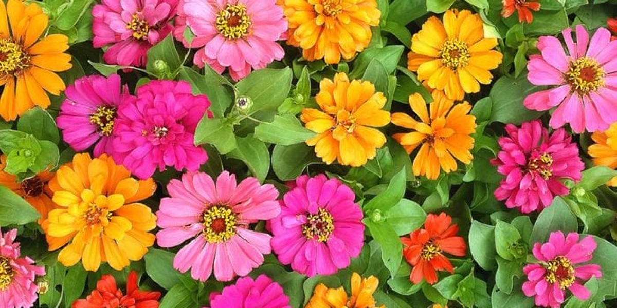 Flower Symbolism in Ancient Traditions and Beliefs